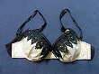 ブルセラ通販:使用済下着−女子大生のブラジャー