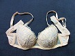 ブルセラ通販:使用済下着−女子大生のブラジャー