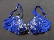 ブルセラ通販:使用済下着−女子大生のブラジャー