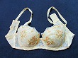 ブルセラ通販:使用済下着−女子大生のブラジャー