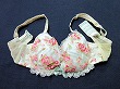 ブルセラ通販:使用済下着−女子高生のブラジャー