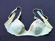 ブルセラ通販:使用済下着−女子高生のブラジャー