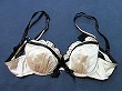 ブルセラ通販:使用済下着−女子高生のブラジャー