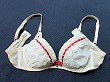ブルセラ通販:使用済下着−女子高生のブラジャー