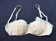 ブルセラ通販:使用済下着−女子高生のブラジャー