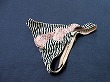 ブルセラ通販:使用済下着−OLのパンティー