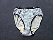ブルセラ通販:使用済下着−生理用パンティー