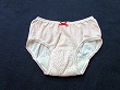 ブルセラ通販:使用済下着−生理用パンティー