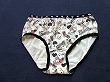 ブルセラ通販:使用済下着−女子小・中学生のパンティー
