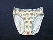 ブルセラ通販:使用済下着−女子小・中学生のパンティー