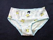 ブルセラ通販:使用済下着−女子小・中学生のパンティー