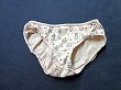 ブルセラ通販:使用済下着−女子小・中学生のパンティー